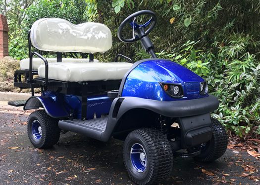 blue-rx5-cricket-cart