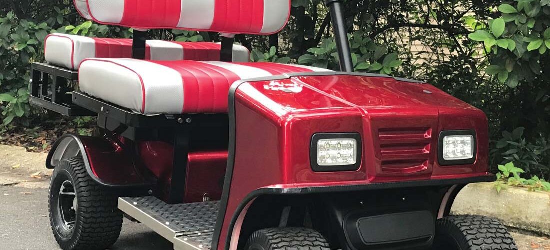 electric-mini-golf-cart-SX3-cricket